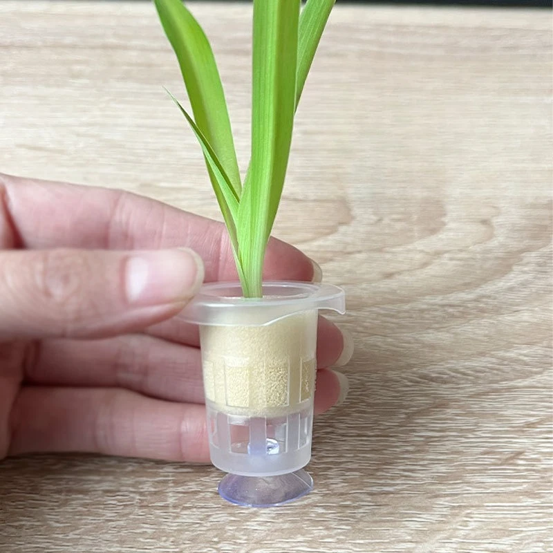 Aquarium Fish Pot - 50pcs/10pcs Aquarium Planting Basket Aquatic Plant