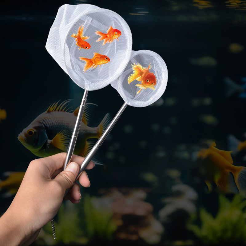 (BF06)Aquarium Fish Fishing Ne - Aquarium Fish Net 评论和价格