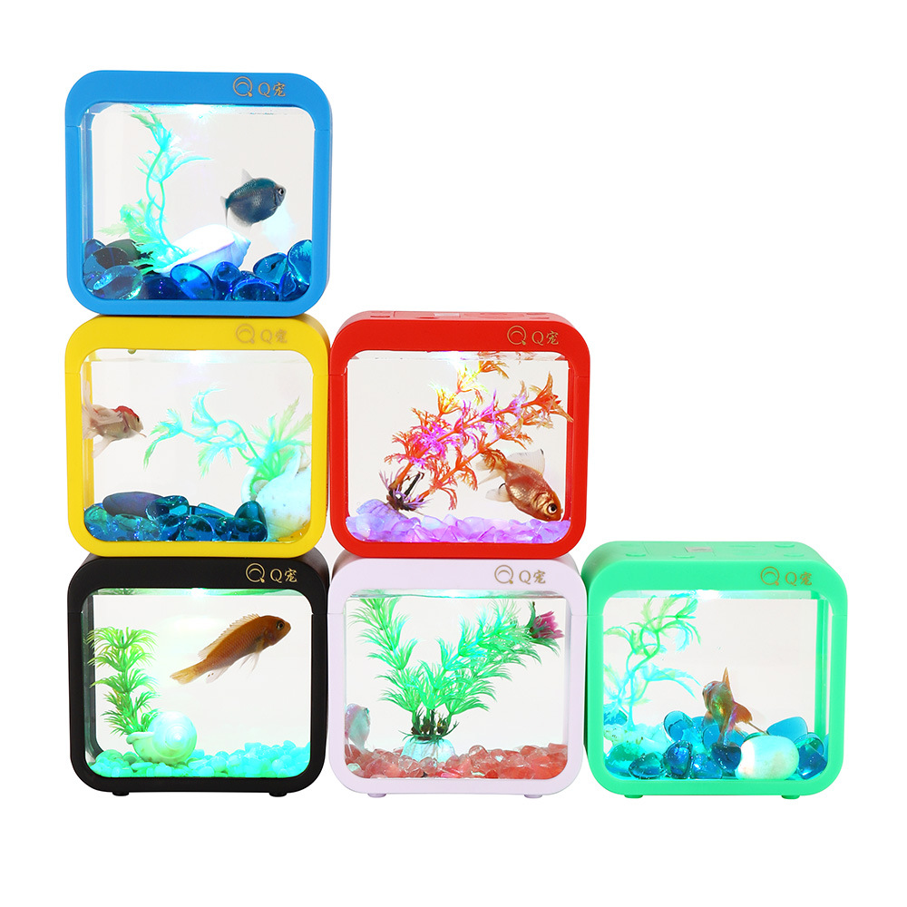Colorful Creative Betta Box Wi - Aquarium Goldfish 评论和价格