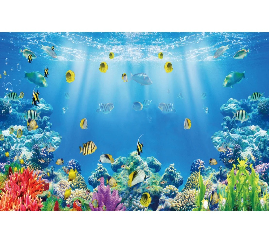 Underwater World Fish Coral Aq - Aquarium Fish Of The World 评论和价格