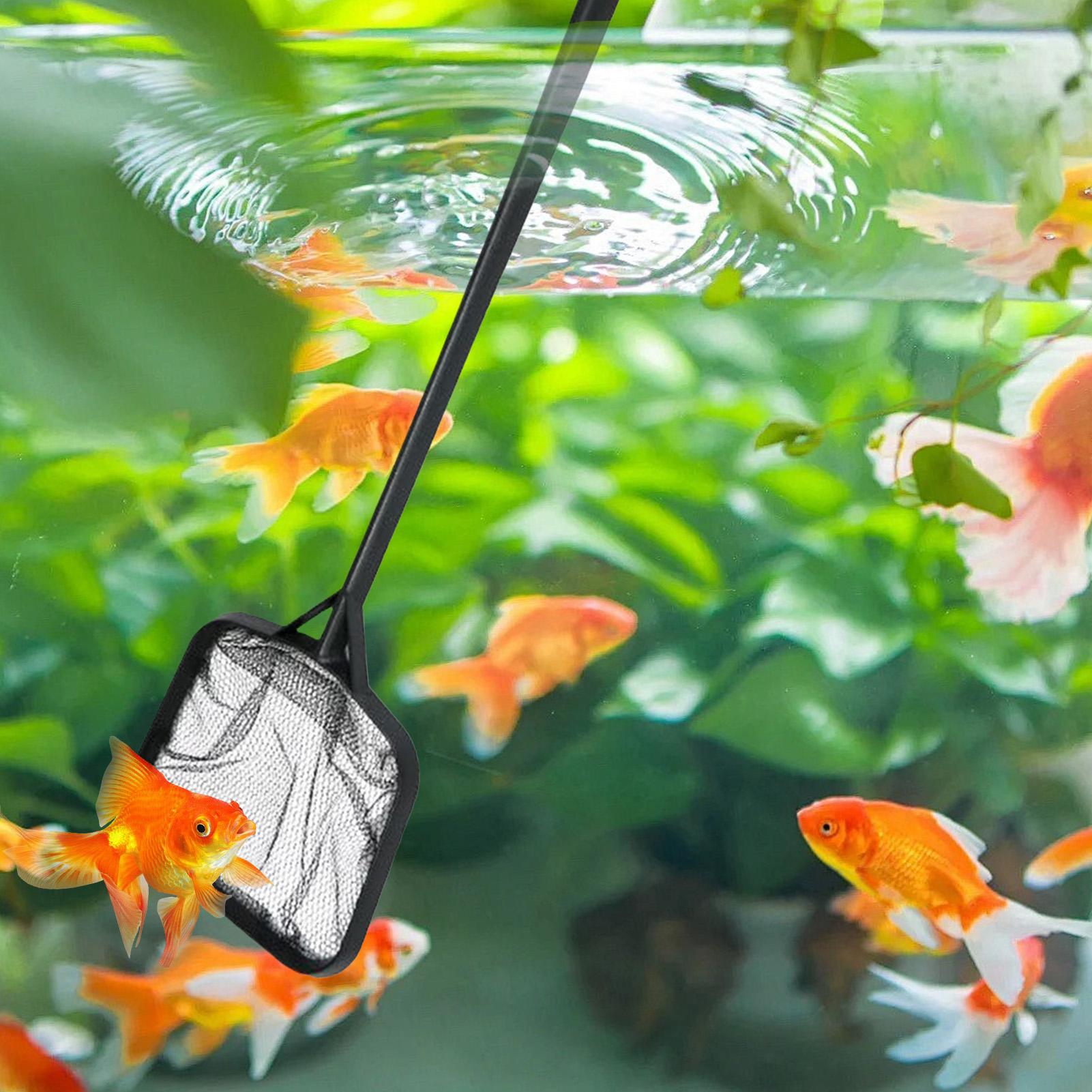Pool Nets for Cleaning Portabl - Aquarium Fish Net 评论和价格