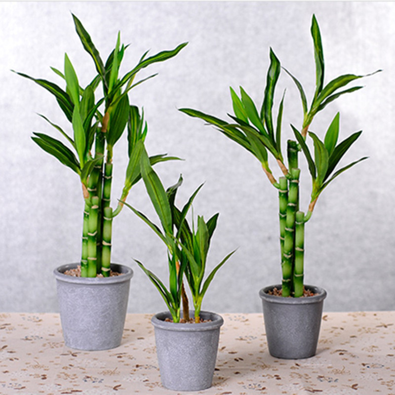 New 40cm rFtificial Lucky Bamb - Aquarium Fish Pot 评论和价格
