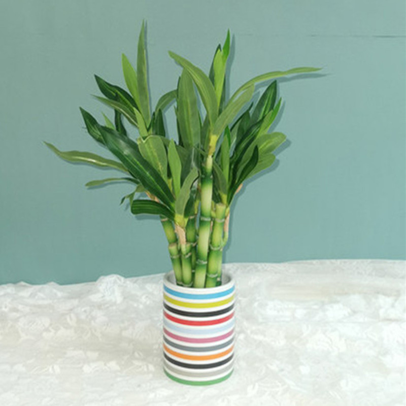 New 40cm rFtificial Lucky Bamb - Aquarium Fish Pot 评论和价格