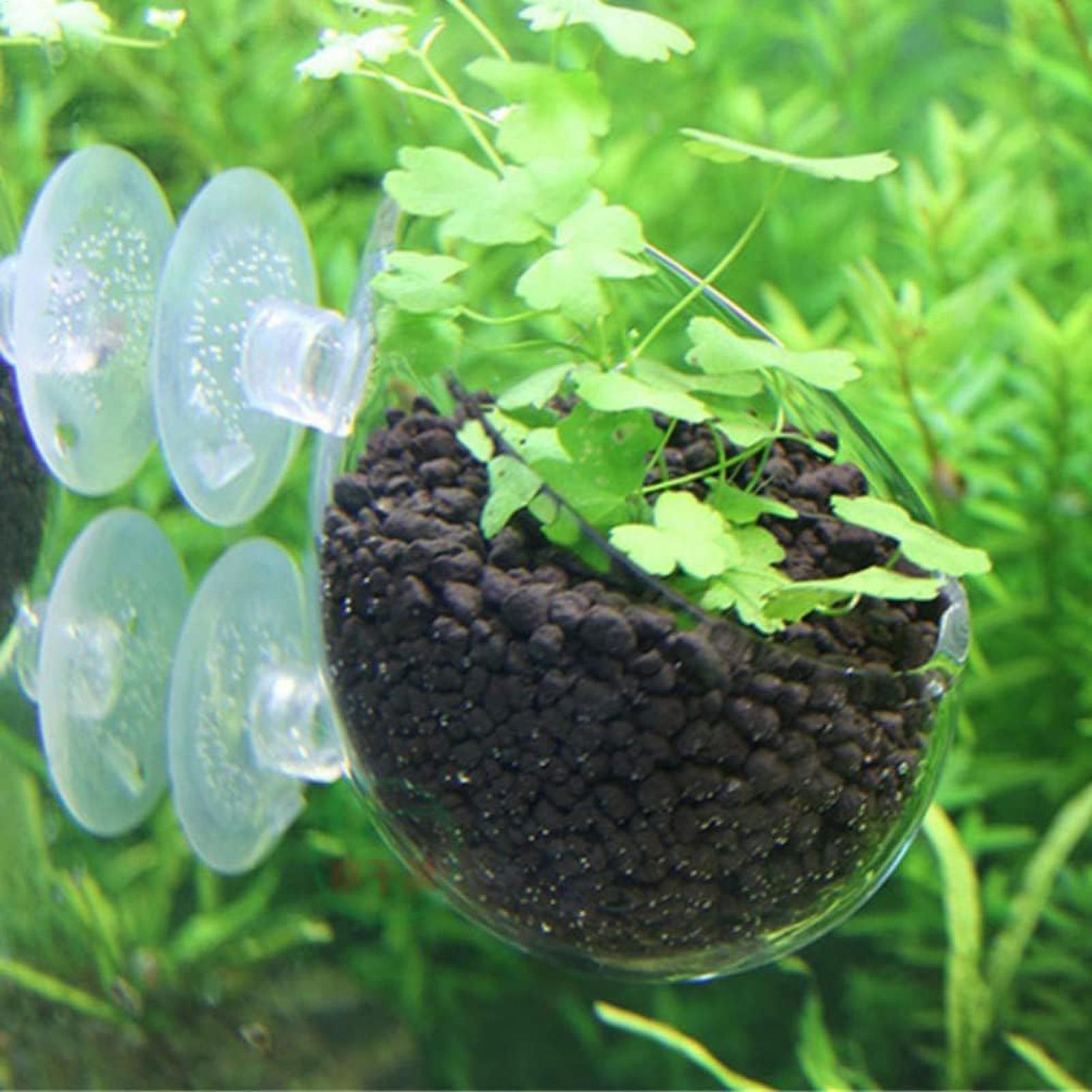 Aquarium Plant Holder Glass Aq - Aquarium Fish Pot 评论和价格