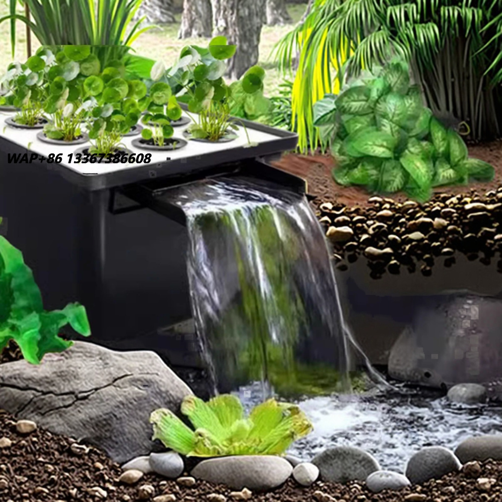 Factory Direct Outdoor Garden  - Aquarium Fish In Pond 评论和价格
