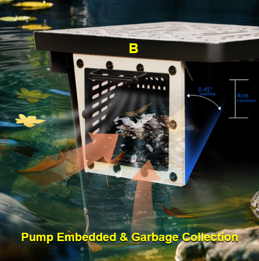 Factory Direct Outdoor Garden  - Aquarium Fish In Pond 评论和价格