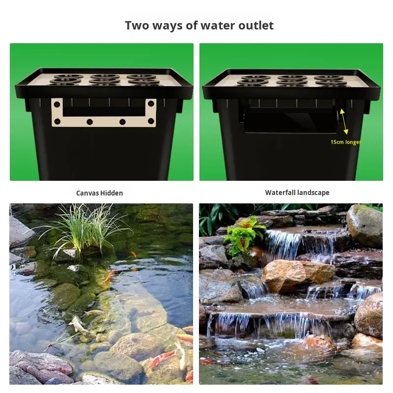 Factory Direct Outdoor Garden  - Aquarium Fish In Pond 评论和价格