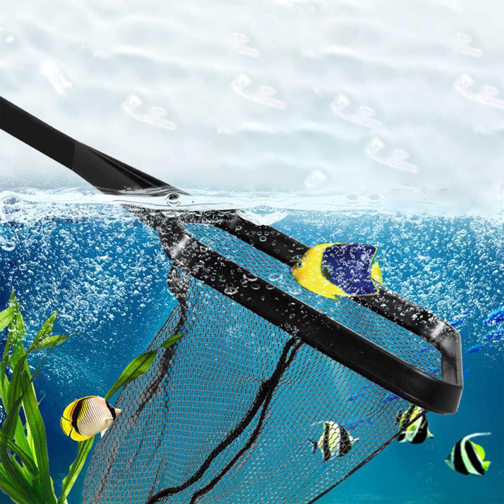 Pool Net Fish Tank Salvage Net - Aquarium Fish Net 评论和价格
