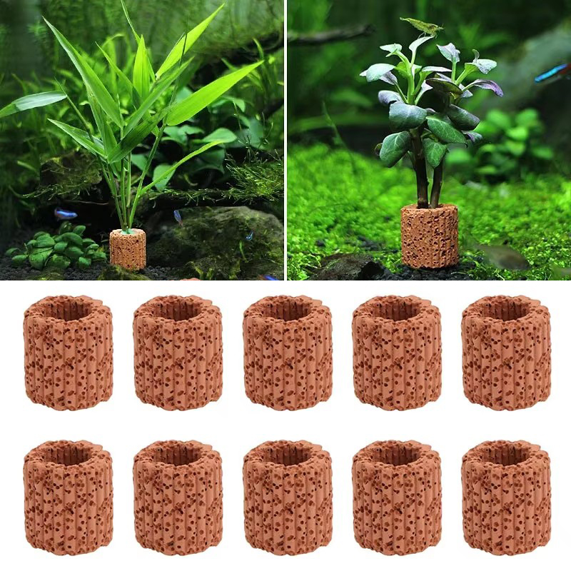 Aquatic Plant Fixed Ring for A - Aquarium Fish Tank Price 评论和价格