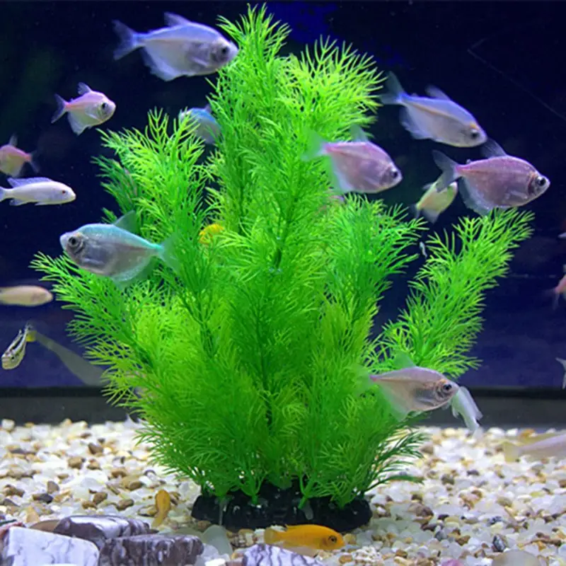 Artificial Aquarium Decor Plan - Aquarium Fish Only 评论和价格