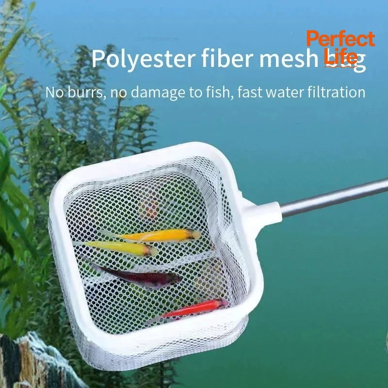 1、2Pcs Stainless Steel Fishing - Aquarium Fish Net 评论和价格