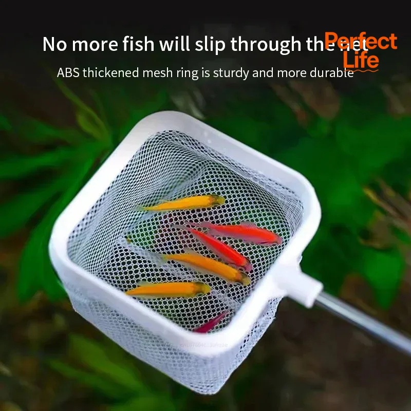 1、2Pcs Stainless Steel Fishing - Aquarium Fish Net 评论和价格