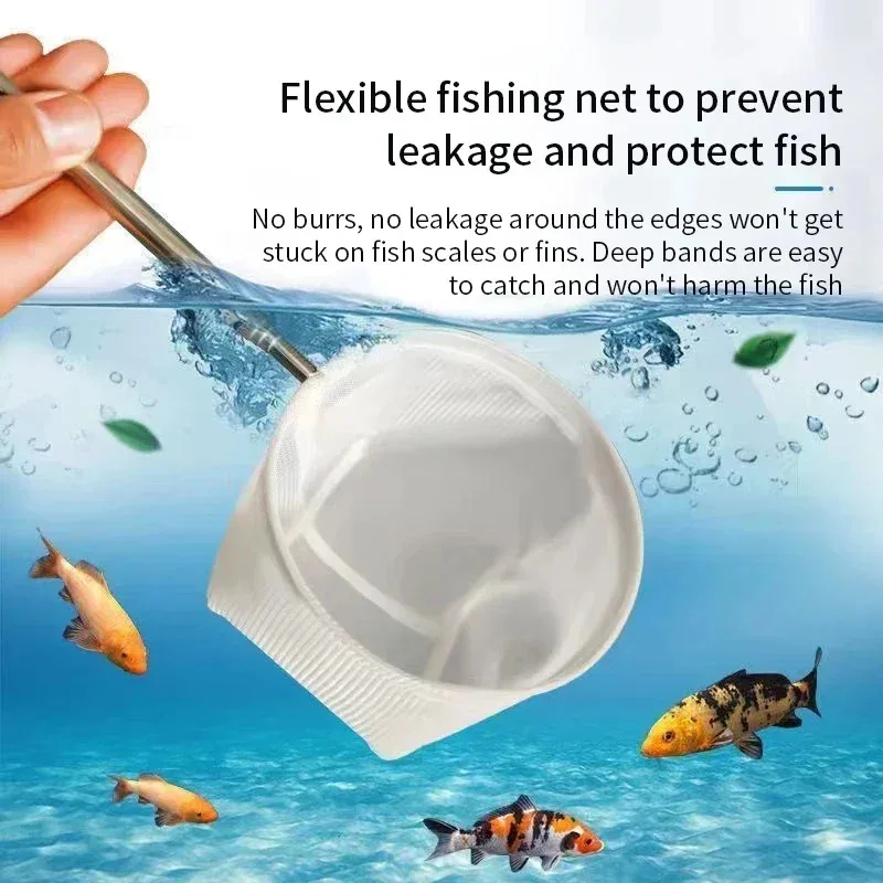 1、2Pcs Stainless Steel Fishing - Aquarium Fish Net 评论和价格