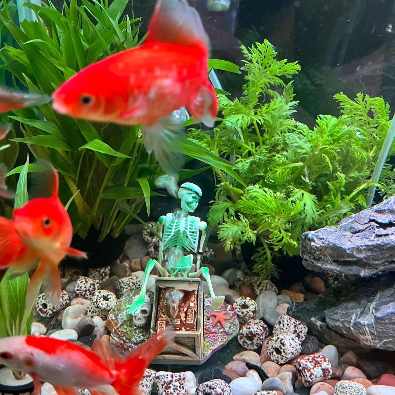 Fish Tank Aerobic Landscape Bu - Aquarium Fish Tank Price 评论和价格