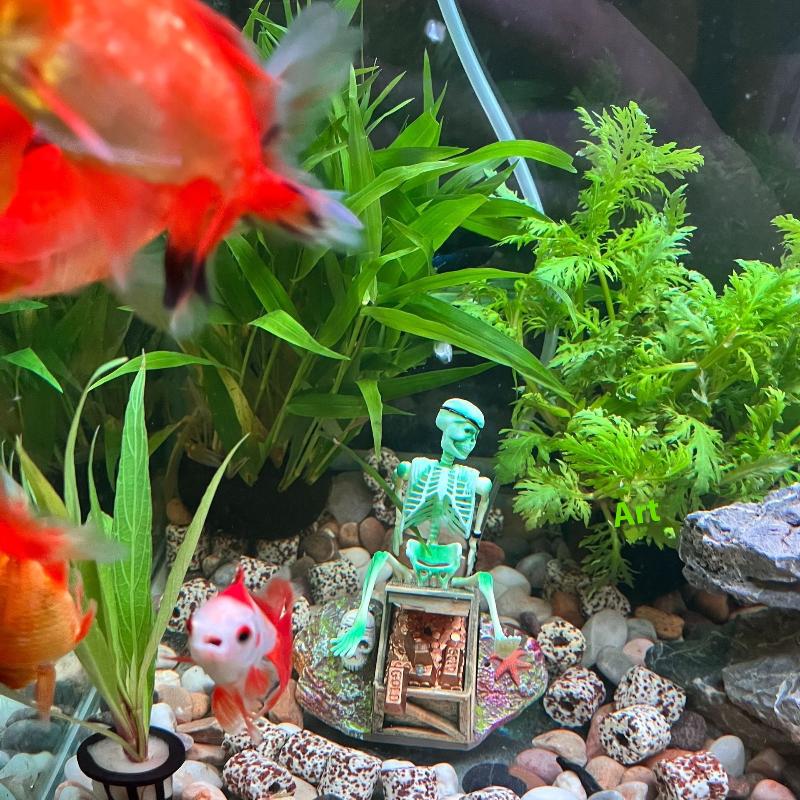 Fish Tank Aerobic Landscape Bu - Aquarium Fish Tank Price 评论和价格