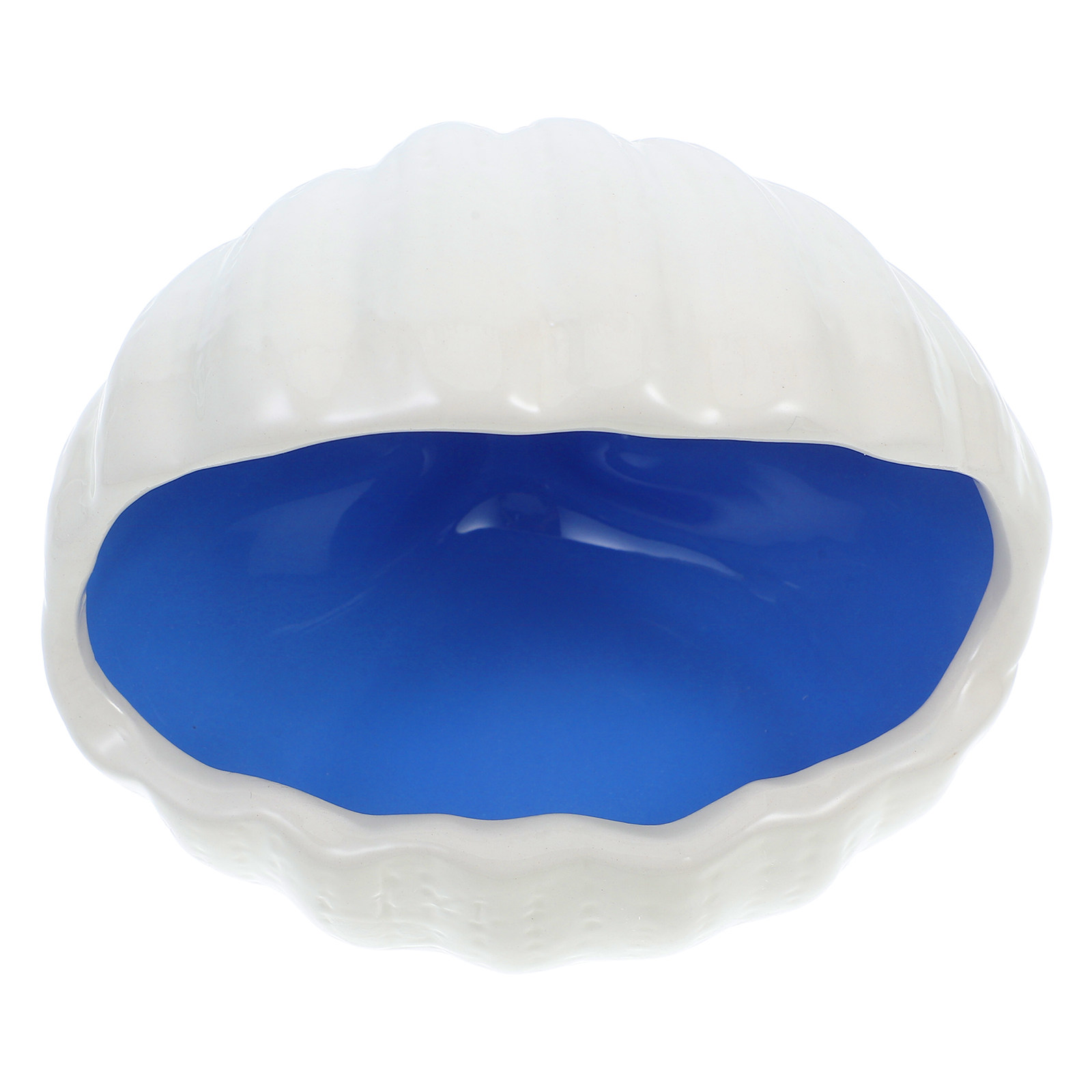 Ceramic Shell Fish House Aquar - Aquarium Fish Of The World 评论和价格