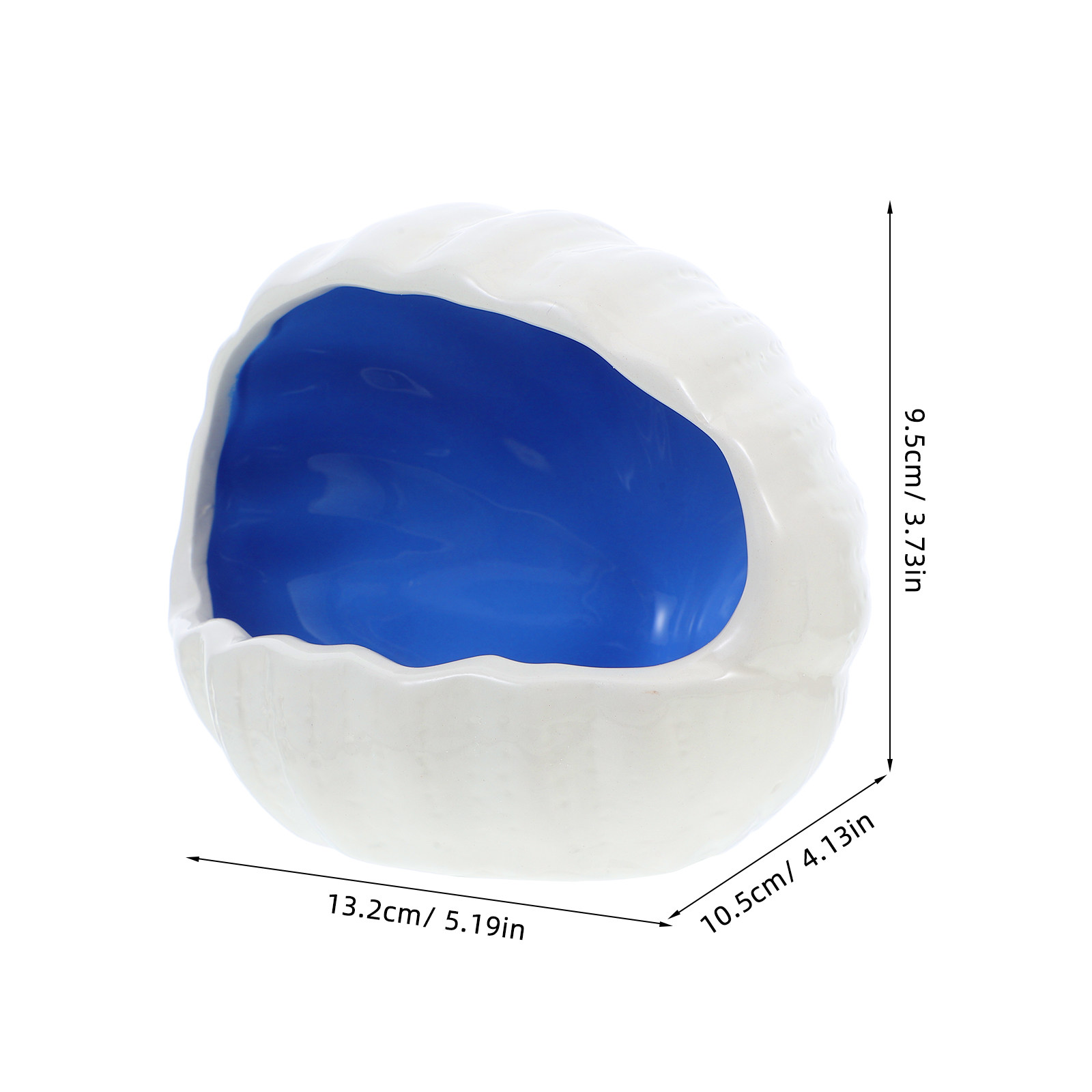 Ceramic Shell Fish House Aquar - Aquarium Fish Of The World 评论和价格