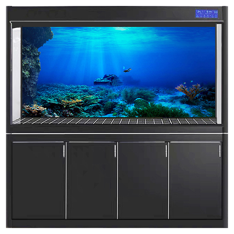 Fish Tank Background Decorativ - Aquarium Fish Of The World 评论和价格