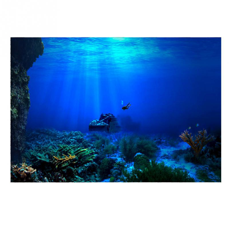 Fish Tank Background Decorativ - Aquarium Fish Of The World 评论和价格