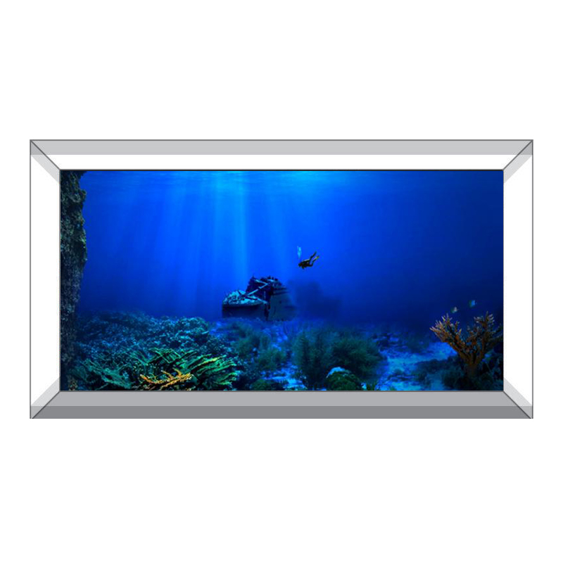 Fish Tank Background Decorativ - Aquarium Fish Of The World 评论和价格