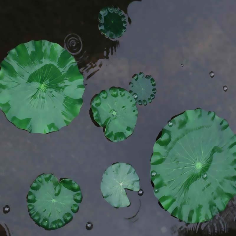 2026 Artificial Water Lily Lot - Aquarium Fish In Pond 评论和价格
