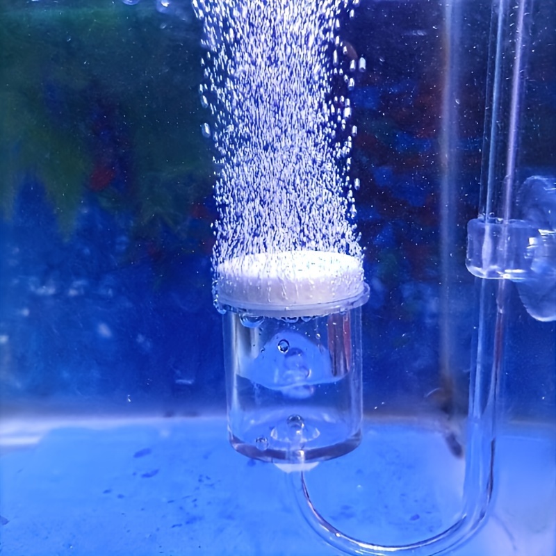 Aquarium Glass CO2 Atomizer Di - Aquarium Fish Quarantine 评论和价格