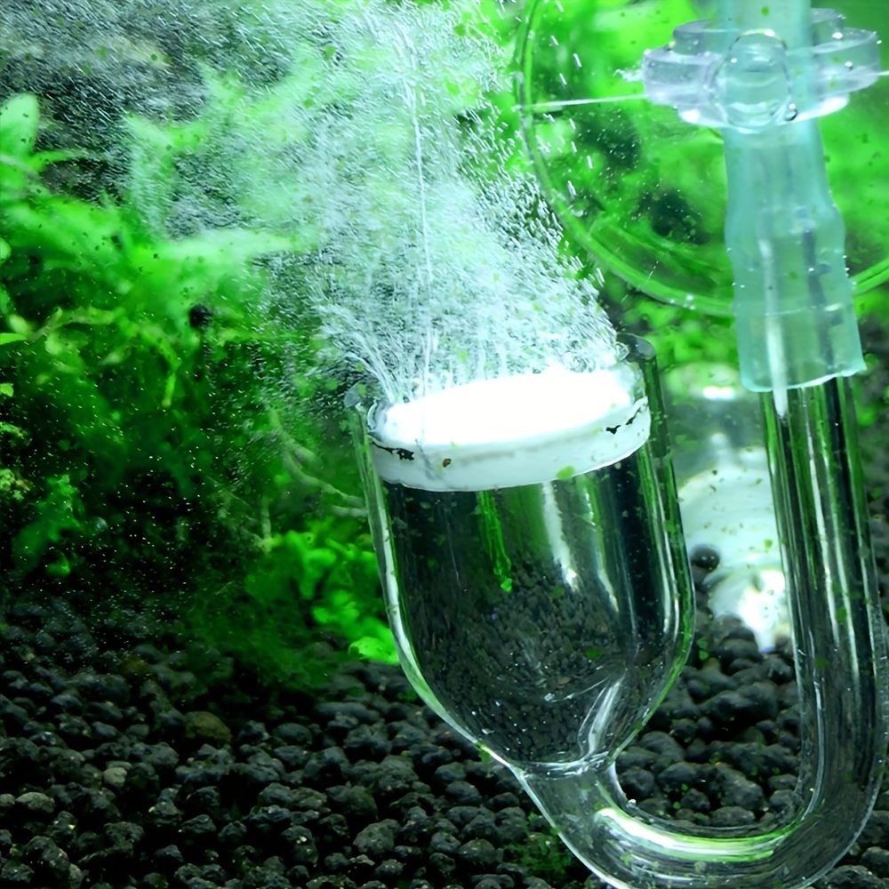 Aquarium Glass CO2 Atomizer Di - Aquarium Fish Quarantine 评论和价格