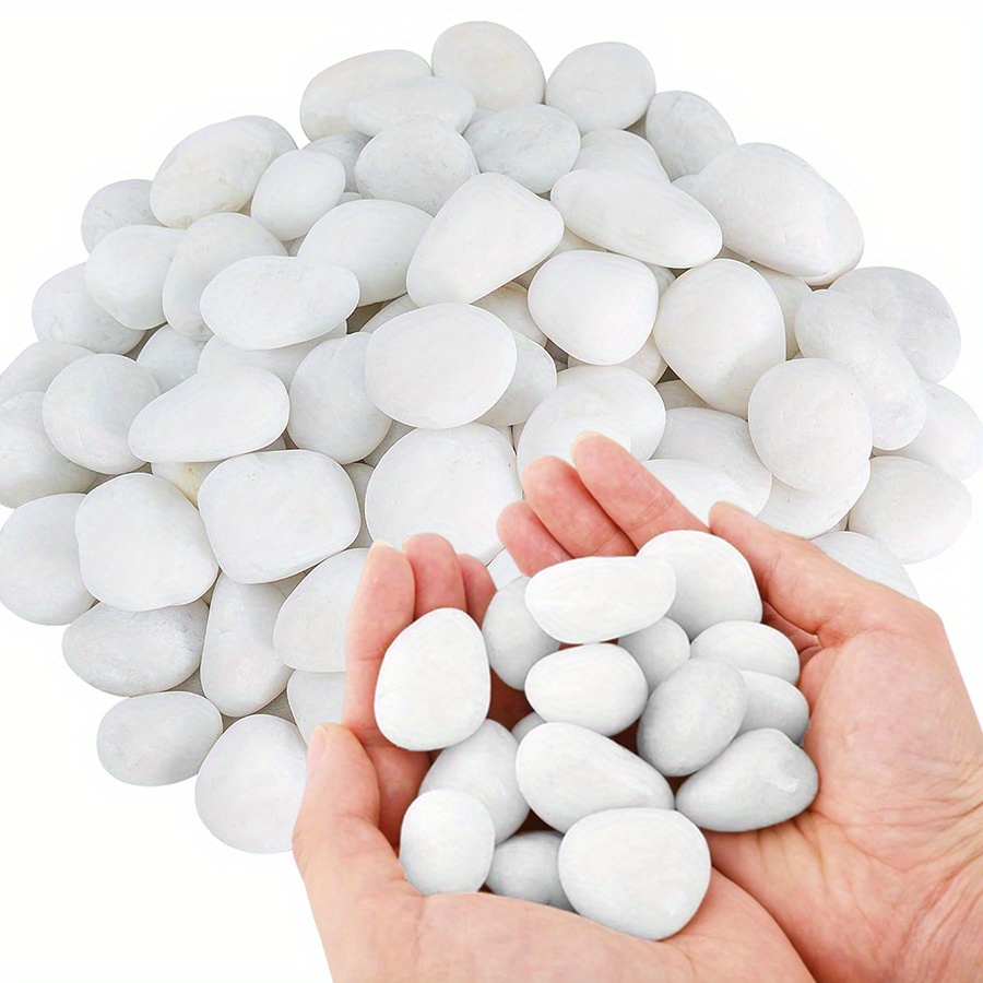 200/400g White High Polished N - Aquarium Fish Only 评论和价格