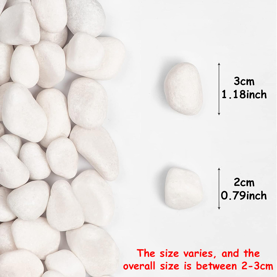 200/400g White High Polished N - Aquarium Fish Only 评论和价格