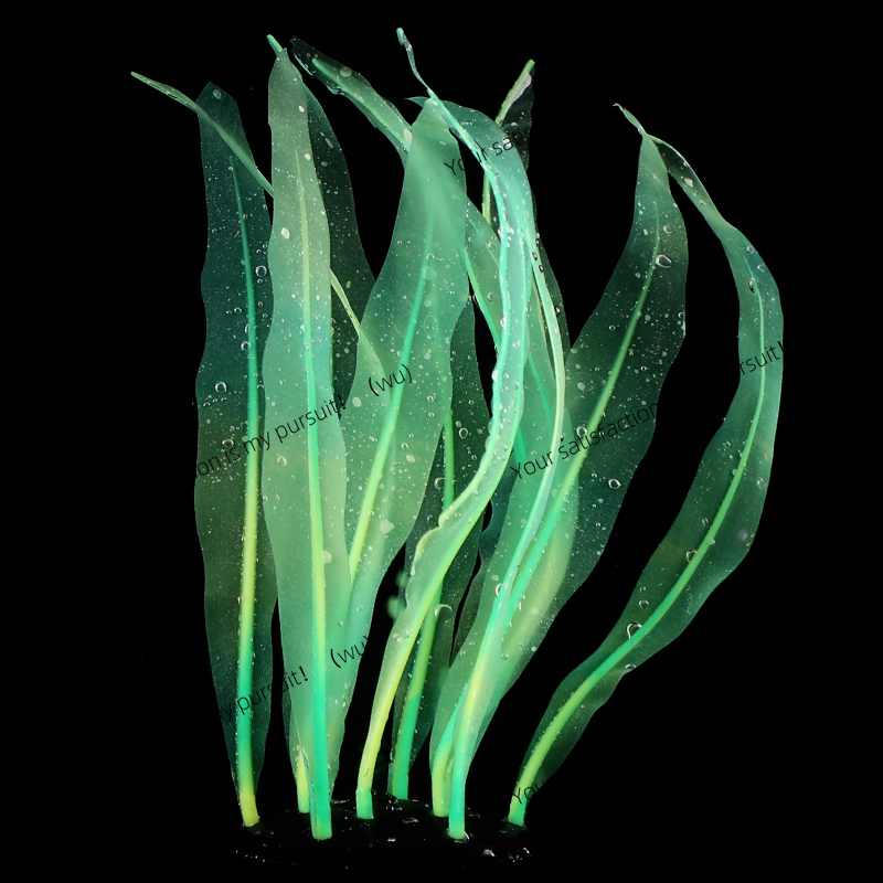 Simulated Kelp Plant Decoratio - Aquarium Fish Of The World 评论和价格