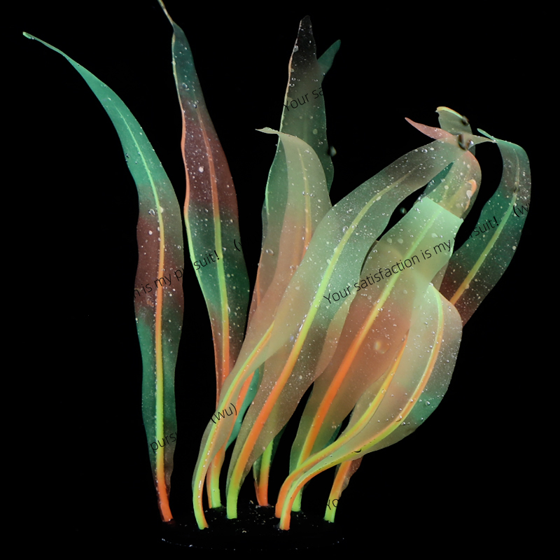 Simulated Kelp Plant Decoratio - Aquarium Fish Of The World 评论和价格