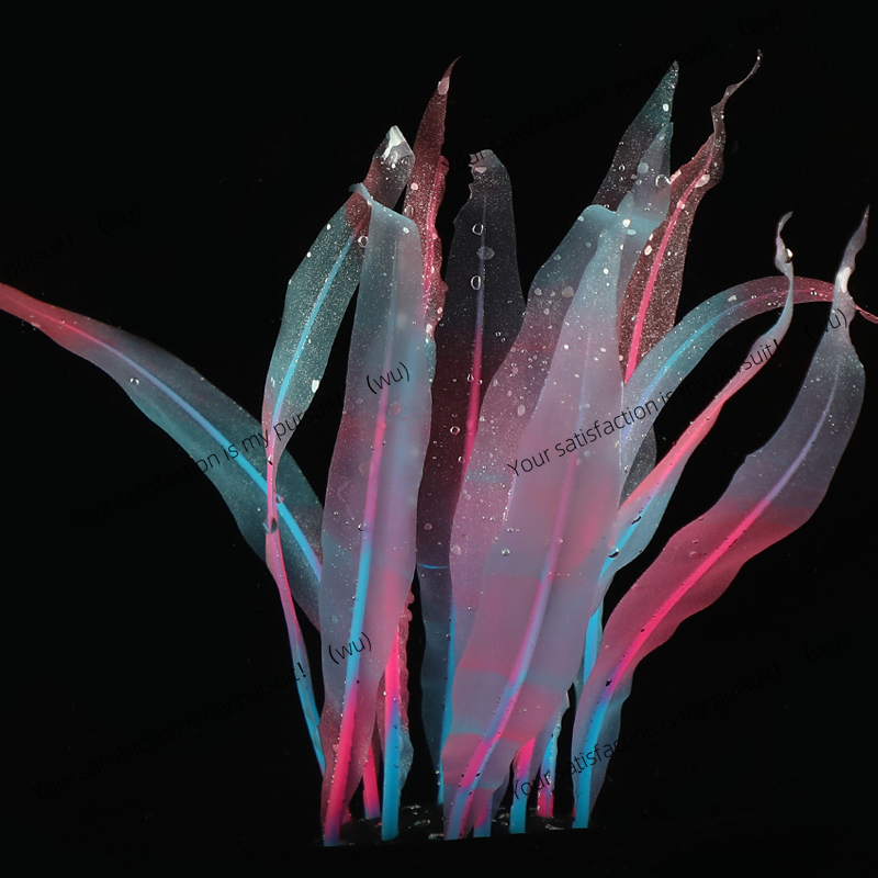 Simulated Kelp Plant Decoratio - Aquarium Fish Of The World 评论和价格