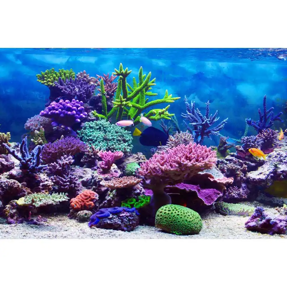 Underwater World Seabed Backdr - Aquarium Fish Of The World 评论和价格