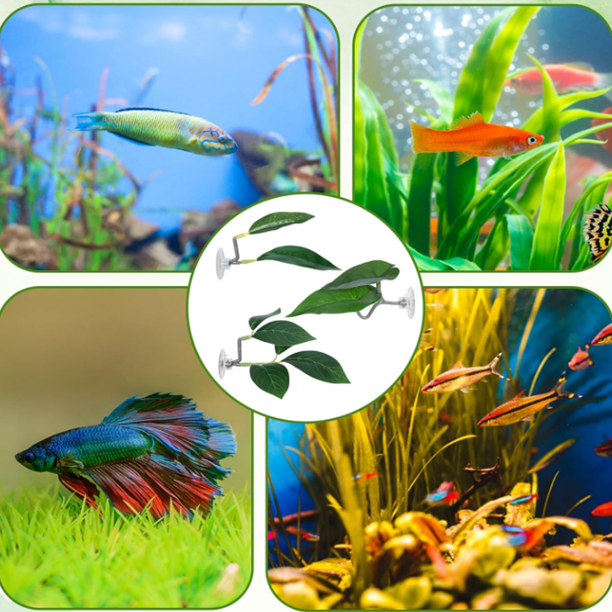 1 PC Betta Fish Hammock Soft A - Aquarium Fish Only 评论和价格