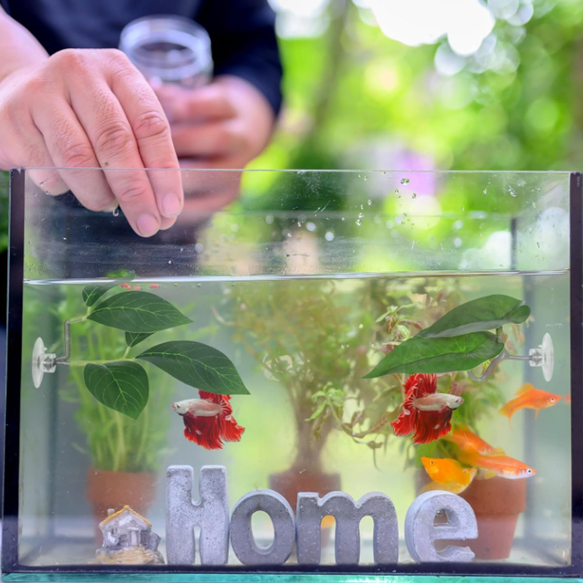 1 PC Betta Fish Hammock Soft A - Aquarium Fish Only 评论和价格