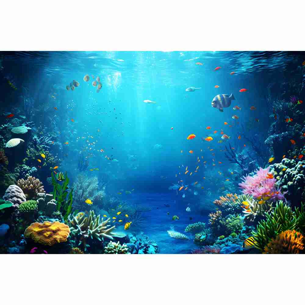 Underwater Ocean World Photogr - Aquarium Fish Of The World 评论和价格