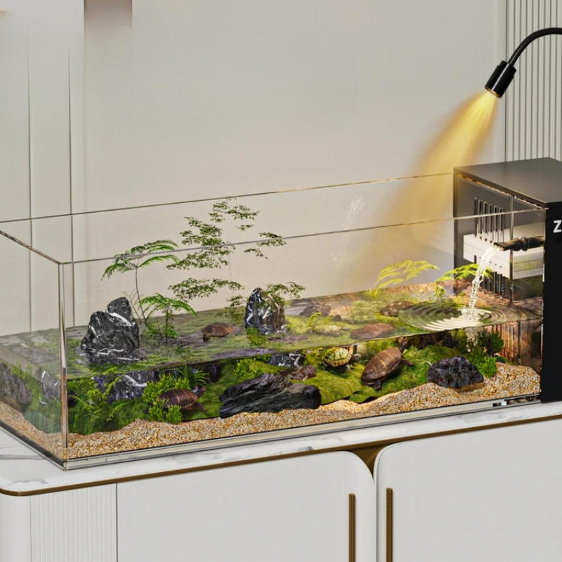‌Turtle Aquarium Tank - Fish & - Aquarium Goldfish 评论和价格