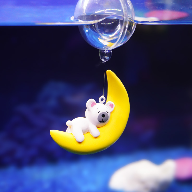 Aquarium Lovers Moon Bear Dive - Aquarium Fish Of The World 评论和价格