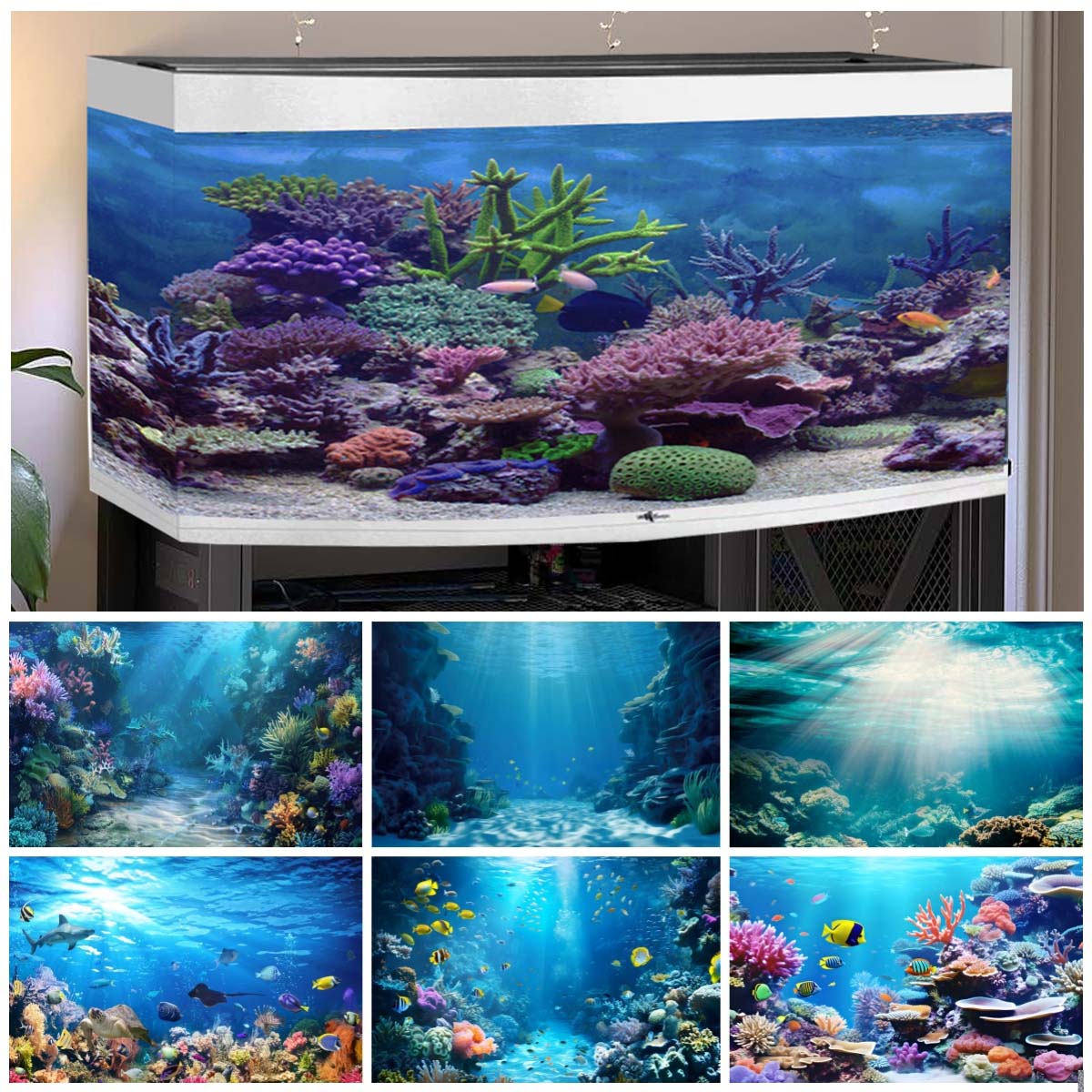 Underwater World Backgrounds f - Aquarium Fish Of The World 评论和价格