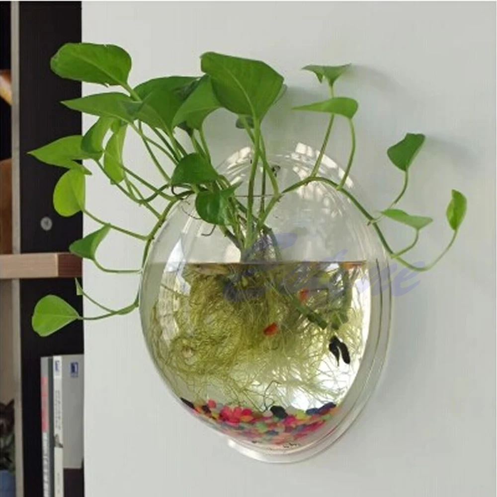 Pot Wall Hanging Mount Bubble  - Aquarium Fish Pot 评论和价格
