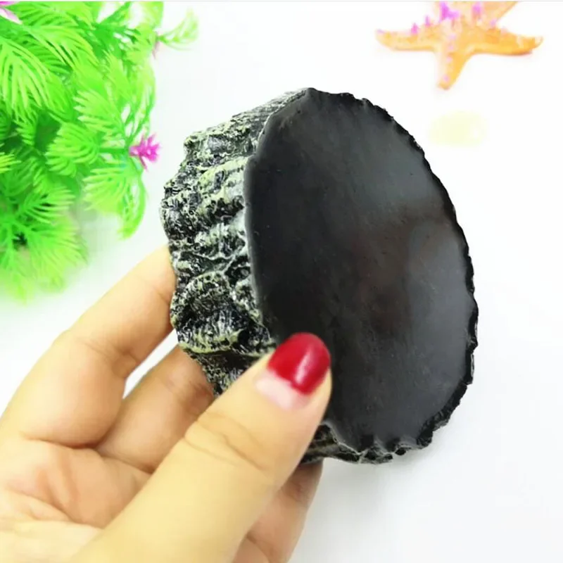 Pet Reptile Feeder Bowl Resin  - Aquarium Fish Pot 评论和价格