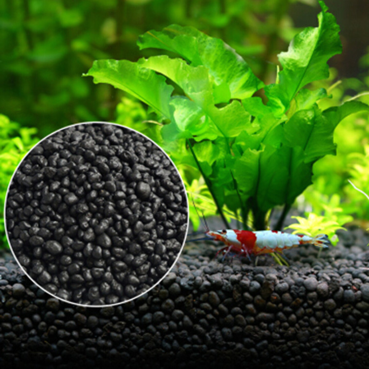 Aquarium Plant Seeds Soil Fish - Aquarium Fish Quarantine 评论和价格
