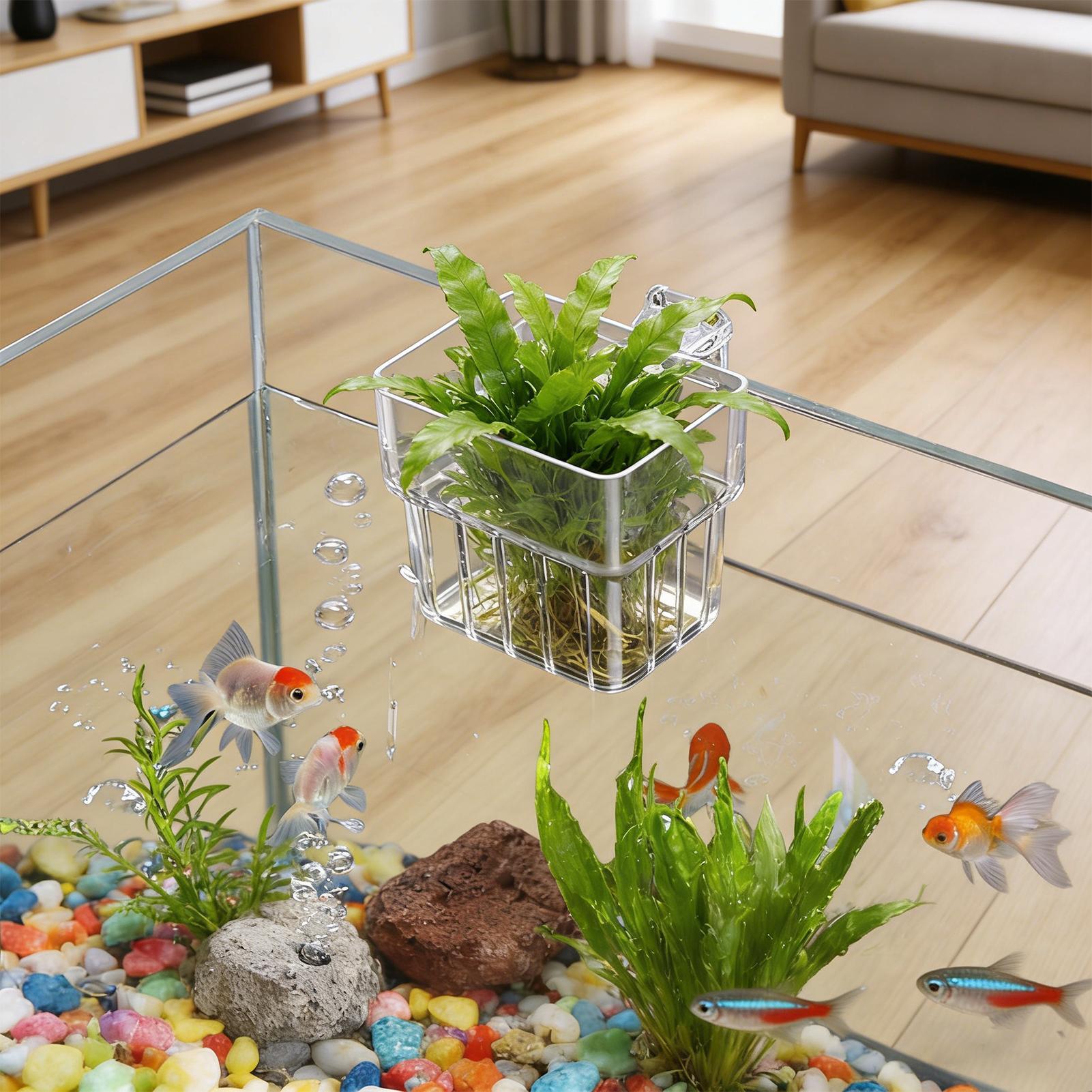 Aquarium Transparent Hanger Po - Aquarium Fish Pot 评论和价格