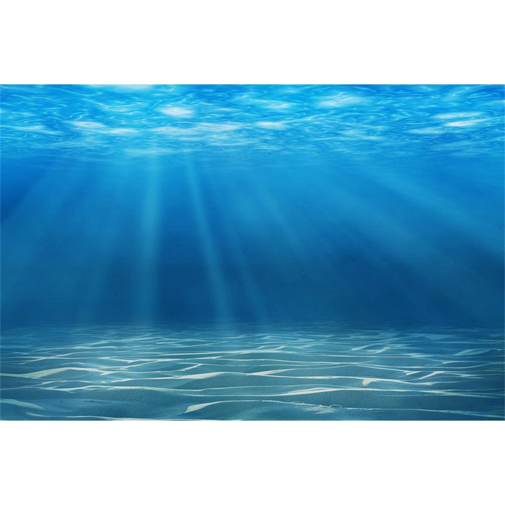 Underwater World Seabed Photog - Aquarium Fish Of The World 评论和价格