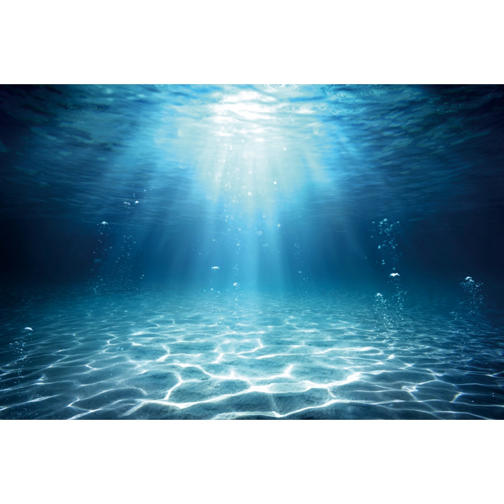 Underwater World Seabed Photog - Aquarium Fish Of The World 评论和价格