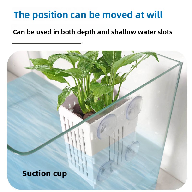 1PC Wall Mounted Hydroponics P - Aquarium Fish Only 评论和价格