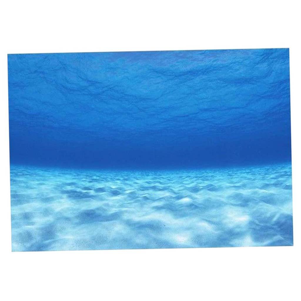 Side Decorative Aquarium Backg - Aquarium Fish Of The World 评论和价格