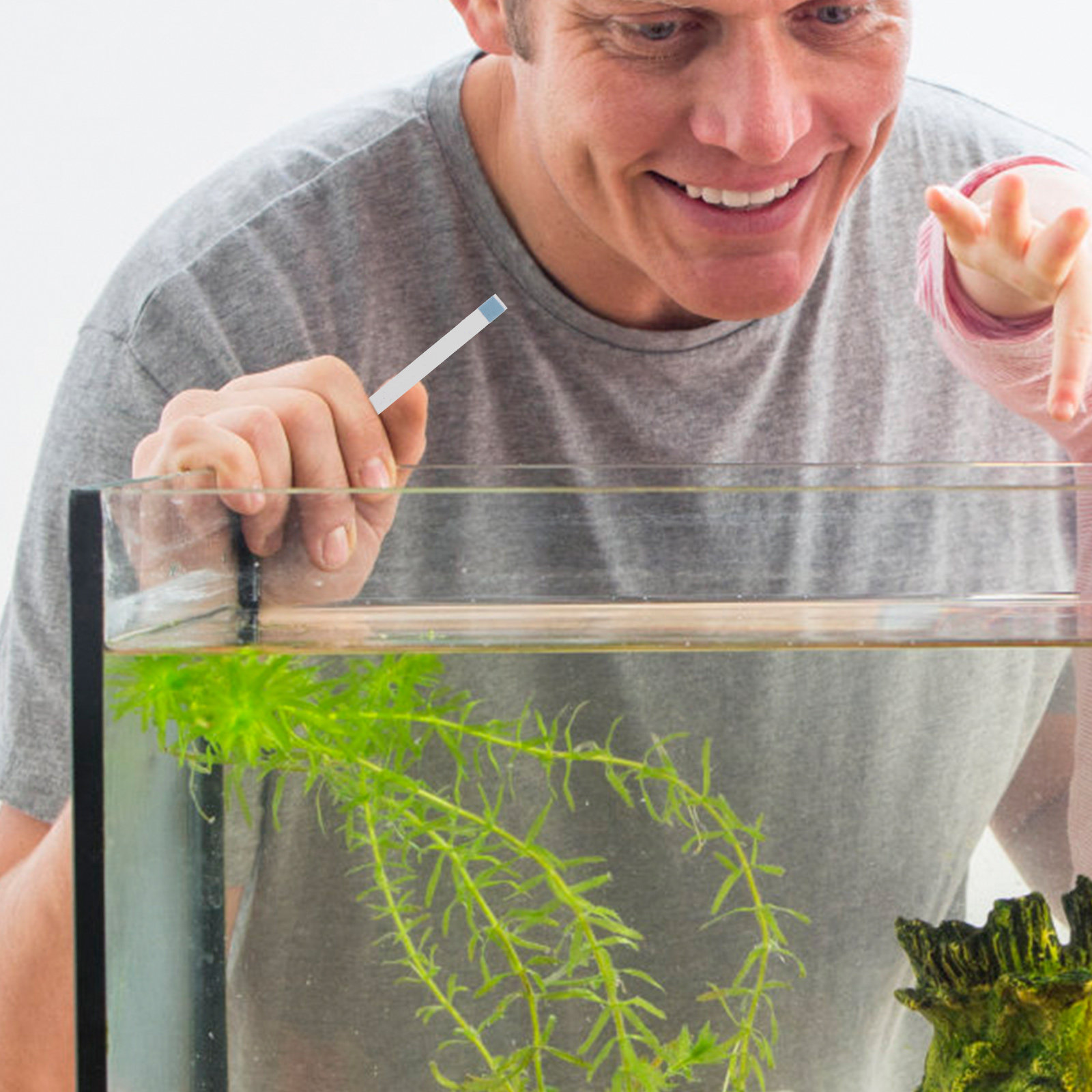 Swimming Pool Testing Strips H - Aquarium Fish In Pond 评论和价格