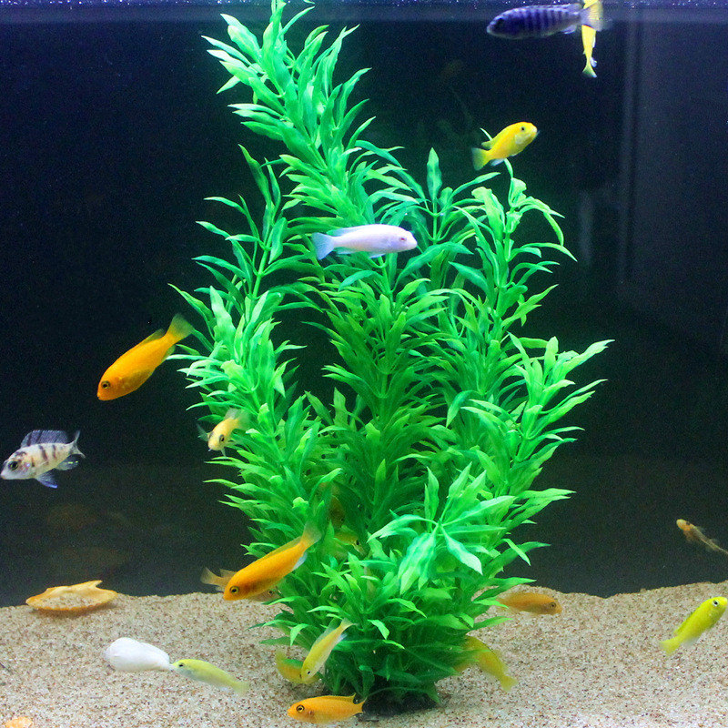 50CM Artificial Fish Tank Rare - Aquarium Fish Only 评论和价格