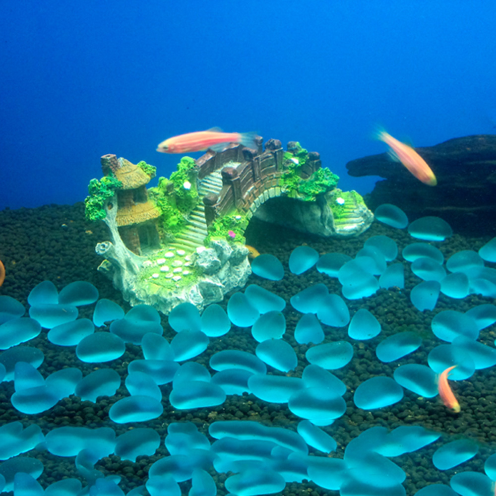 Aquarium Accessories Arbor Tre - Aquarium Fish Tank Price 评论和价格